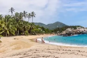 Tropical beach surrounded by jungle in Tayrona National Natural Park Colombia