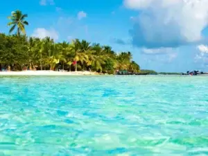 White sand beach and palm trees on San Andrés Caribbean island
