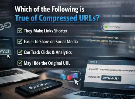 Comparison between long URL and compressed URL.