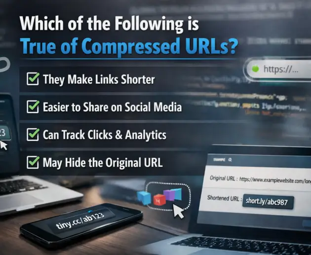 Comparison between long URL and compressed URL.