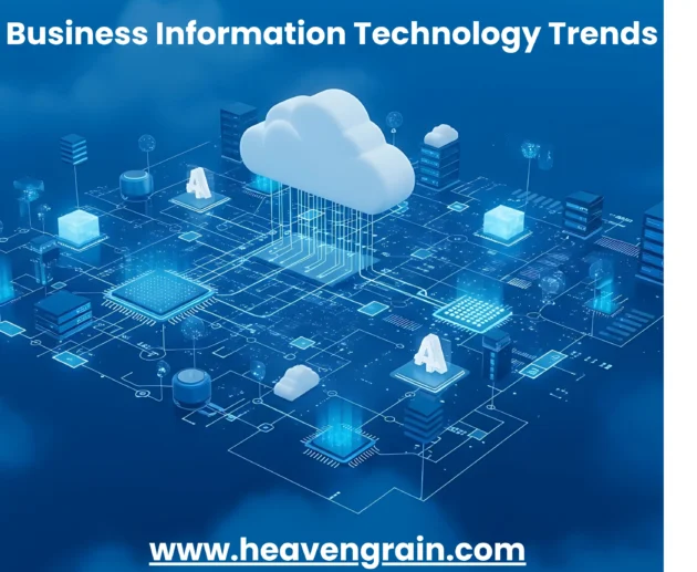 business information technology