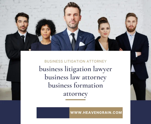 business litigation attorney