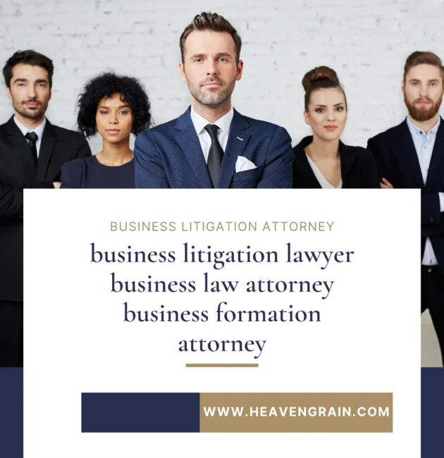 business litigation attorney
